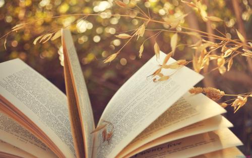 江西自考哪些專業容易過?考試難度低?